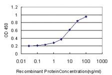 Anti-GOLGA5 Mouse Monoclonal Antibody [clone: 6B3]