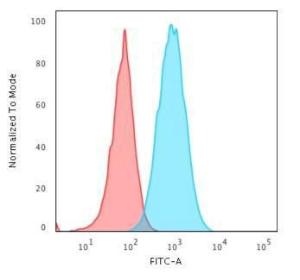 Flow cytometric analysis of Raji cells using Anti-HLA DR Antibody [TAL 1B5] followed by Goat Anti-Mouse IgG (CF&#174; 488) (Blue). Isotype Control (Red)