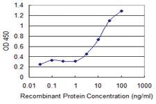 Anti-A1BG Mouse Monoclonal Antibody [clone: 4F6]