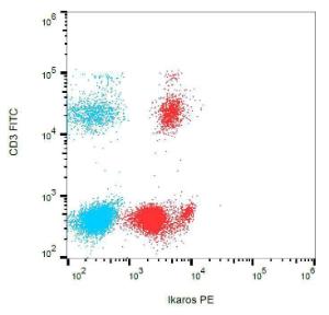 Intracellular staining of Ikaros in human peripheral blood leukocytes with Anti-Ikaros Antibody (A86433)