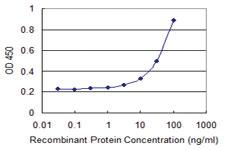 Anti-DNAJB9 Mouse Monoclonal Antibody [clone: 3G4]