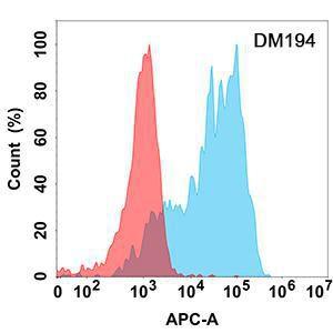 Flow cytometry analysis with Anti-SCF Antibody [DM194] - Azide free (A318515) on Expi293 cells transfected with human SCF (blue histogram) or Expi293 transfected with irrelevant protein (red histogram)