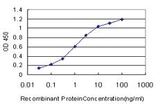 Anti-GGA1 Mouse Monoclonal Antibody [clone: 1G8]