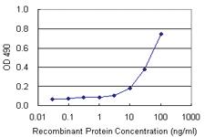 Anti-GAB1 Antibody Pair