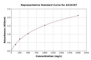 Representative standard curve for Mouse Occludin ELISA kit (A310197)