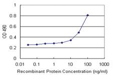 Anti-GAB1 Polyclonal Antibody Pair