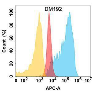 ADAM9 protein is highly expressed on the surface of Expi293 cell membrane