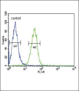 Anti-COMP Rabbit Polyclonal Antibody (FITC (Fluorescein))