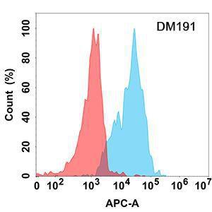 Flow cytometry analysis with Anti-CD70 Antibody [DM191] - Azide free (A318518) on Expi293 cells transfected with human CD70 (blue histogram) or Expi293 transfected with irrelevant protein (red histogram)