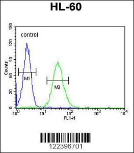 Anti-CD80 Rabbit Polyclonal Antibody (AP (Alkaline Phosphatase))