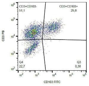 Anti-CD103 Mouse Monoclonal Antibody [Clone: Ber-ACT8] (FITC (Fluorescein Isothiocyanate))