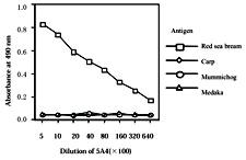 Anti-VTG Mouse Monoclonal Antibody [clone: 5A4]