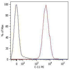 Separation of HT-29 cells stained with Anti-pan Cytokeratin Antibody [C-11] (PE) (red-filled) from HT-29 cells stained using Mouse IgG1 isotype control (PE) antibody (black-dashed) in flow cytometric analysis of HT-29 human Caucasian colon adenocarcinoma cell line