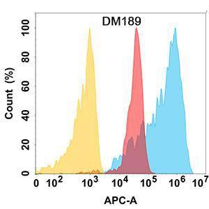 BCL2L1 protein is highly expressed on the surface of Expi293 cell membran