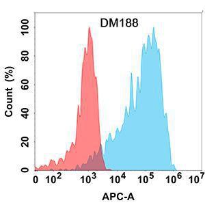 Flow cytometry analysis with Anti-B7-H4 Antibody [DM188] - Azide free (A318521) on Expi293 cells transfected with human B7H4 (blue histogram) or Expi293 transfected with irrelevant protein (red histogram)