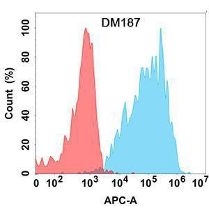 Flow cytometry analysis with Anti-IL-2 Antibody [DM187] - Azide free (A318522) on Expi293 cells transfected with human IL2 (blue histogram) or Expi293 transfected with irrelevant protein (red histogram)