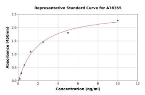 Representative standard curve for Human Kallikrein 5 ELISA kit (A78355)