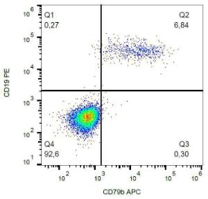 Surface staining of CD79b in human peripheral blood with Anti-CD79b Antibody (A86453)