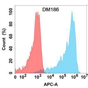 Anti-AMHR2 antibody