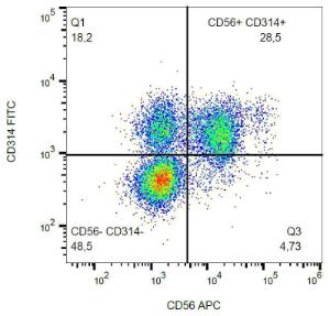 Surface staining of human peripheral blood with Anti-CD314 Antibody (A86454)