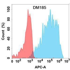 Antibody A318524-500