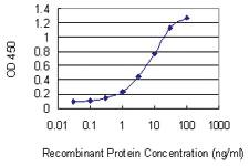 Anti-DAZAP2 Mouse Monoclonal Antibody [clone: 3G21]