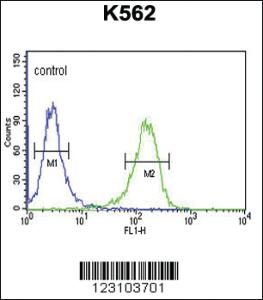 Anti-TSPEAR Rabbit Polyclonal Antibody