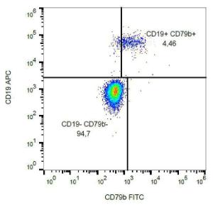 Surface staining of CD79b in human peripheral blood with Anti-CD79b Antibody (A86455)