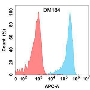 Flow cytometry analysis with Anti-KLRG1 Antibody [DM184] - Azide free (A318525) on Expi293 cells transfected with human KLRG1 (blue histogram) or Expi293 transfected with irrelevant protein (red histogram)