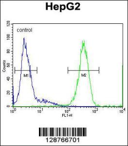 Anti-SOHLH1 Rabbit Polyclonal Antibody (FITC (Fluorescein Isothiocyanate))