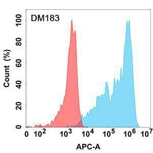 Anti-IL-13 Receptor alpha 1 Rabbit Recombinant Antibody [clone: DM183]