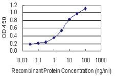 Anti-DAZAP2 Mouse Monoclonal Antibody [clone: 8G5]