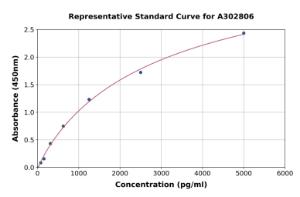 Representative standard curve for Human TRAX ELISA kit (A302806)