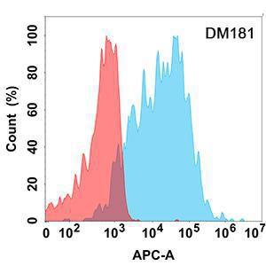 Flow cytometry analysis with Anti-BAFF Antibody [DM181] - Azide free (A318528) on Expi293 cells transfected with human BAFF (blue histogram) or Expi293 transfected with irrelevant protein (red histogram)