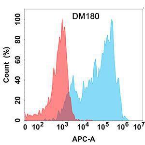 Flow cytometry analysis with Anti-CCR8 Antibody [DM180] - Azide free (A318529) on Expi293 cells transfected with human CCR8 (blue histogram) or Expi293 transfected with irrelevant protein (red histogram)