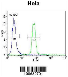 Anti-SUMO1 Rabbit Polyclonal Antibody (HRP (Horseradish Peroxidase))