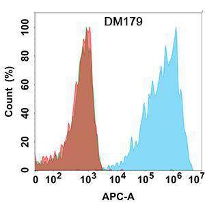 Flow cytometry analysis with Anti-Claudin18.2 Antibody [DM179] - Azide free (A318530) on Expi293 cells transfected with human CLDN18.2 (blue histogram) or Expi293 transfected with human CLDN18.1 (Green histogram)or Expi293 transfected with irrelevant protein (red histogram)