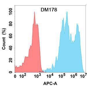 Flow cytometry analysis with Anti-TIGIT Antibody [DM178] - Azide free (A318531) on Expi293 cells transfected with human TIGIT (blue histogram) or Expi293 transfected with irrelevant protein (red histogram)