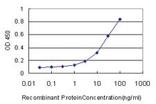 Anti-DNASE1L1 Mouse Monoclonal Antibody [clone: 4E8]