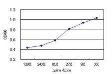 Anti-MAPK13 Antibody Pair