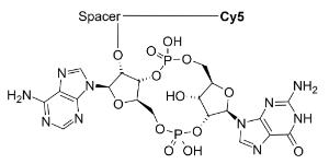 2 3-c gamp-cy5 conj 20318 100 µg