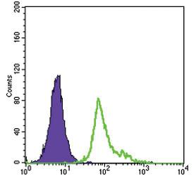 Anti-ENG Mouse Monoclonal Antibody [clone: 3A9]