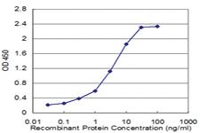 Anti-TOMM20 Mouse Monoclonal Antibody [clone: 4F3]