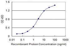 Anti-CHURC1 Mouse Monoclonal Antibody [clone: 2F9]