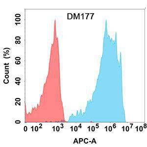 Flow cytometry analysis with Anti-PD1 Antibody [DM177] - Azide free (A318532) on Expi293 cells transfected with human PD-1 (blue histogram) or Expi293 transfected with irrelevant protein (red histogram)