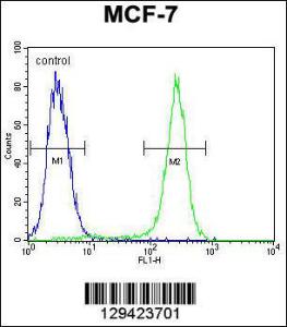 Anti-C1QL4 Rabbit Polyclonal Antibody (APC (Allophycocyanin))