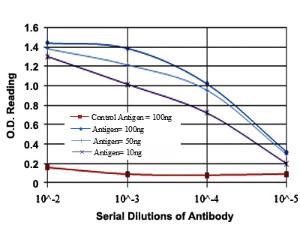 Anti-FUT4 Mouse Monoclonal Antibody [clone: 4E10]