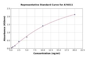 Representative standard curve for Human Lipocalin-2/NGAL ELISA kit