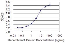 Anti-ZNF287 Mouse Monoclonal Antibody [clone: 1A2]