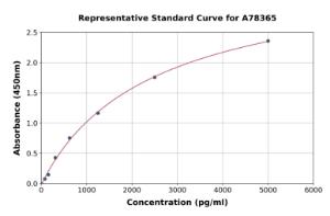 Representative standard curve for Human KSR2 ELISA kit (A78365)